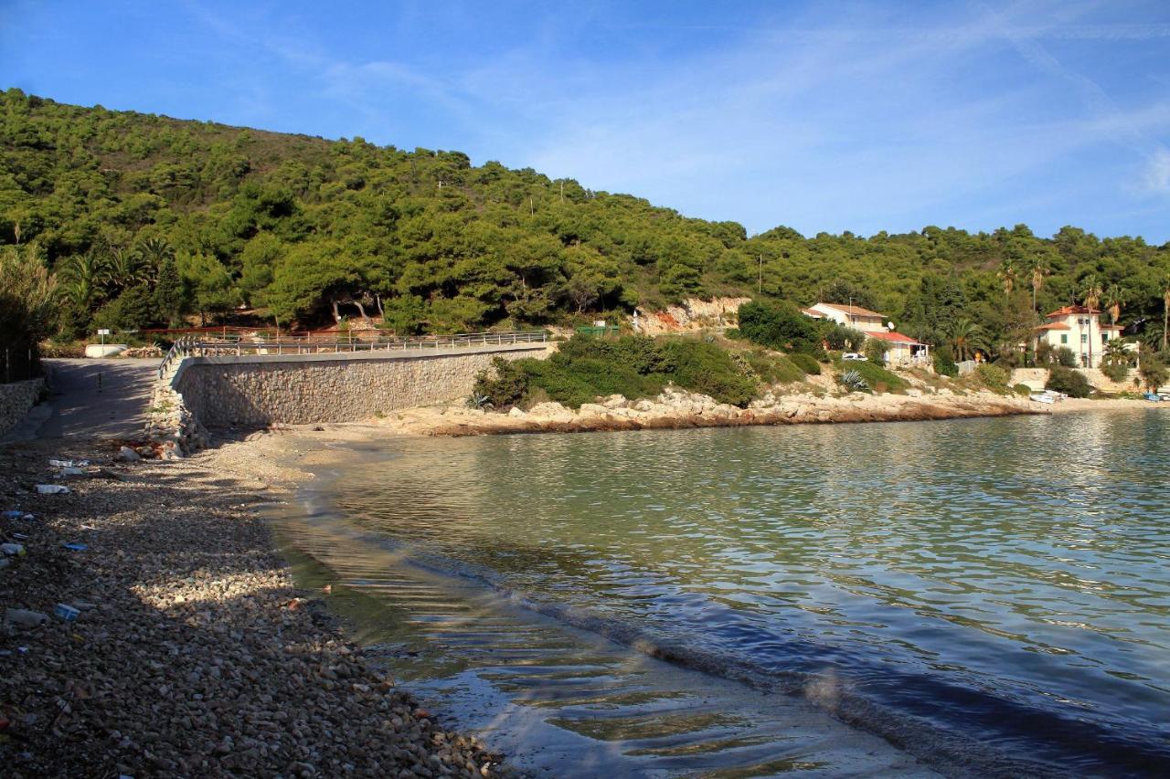 Apartments By The Sea Milna, Vis - 8896 Exteriör bild